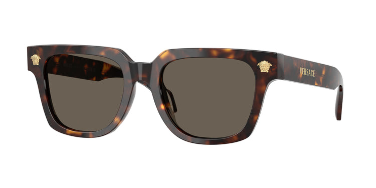 108/3 - Havana / Brown