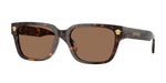 108/73 - Havana / Dark Brown
