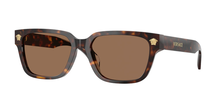 108/73 - Havana / Dark Brown