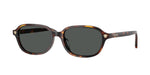 553773 - Havana / Dark Brown