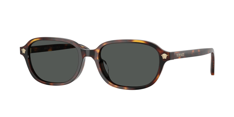 553773 - Havana / Dark Brown