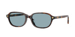 553780 - Brown Havana / Blue