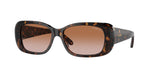 W65613 - Dark Havana / Brown Gradient