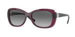 298911 - Transparent Dark Cherry / Grey Gradient