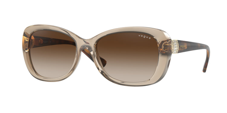 299013 - Transparent Light Brown / Brown Gradient