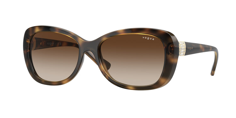 W65613 - Dark Havana / Brown Gradient
