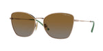 5186T5 - Light Brown / Polarized Gradient Brown
