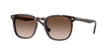W65613 - Dark Havana / Brown Gradient