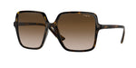 W65613 - Dark Havana / Brown Gradient