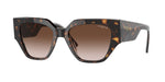W65613 - Dark Havana / Brown Gradient