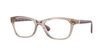 2990 - Transparent Light Brown / Demo Lens
