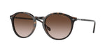 W65613 - Dark Havana / Gradient Brown