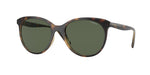 W65671 - Dark Havana / Green