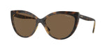 W65673 - Dark Havana / Dark Brown