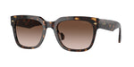 W65613 - Dark Havana / Gradient Brown