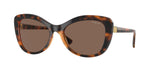 W65673 - Dark Havana / Dark Brown
