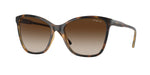 W65613 - Dark Havana / Brown Gradient