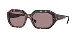 31487N - Red Tortoise / Light Purple Brown