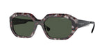 31499A - Grey Tortoise / Dark Green Polarized