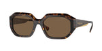 W65673 - Dark Havana / Dark Brown
