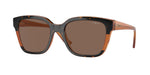 313473 - Havana/Transparent Brown Glitter / Dark Brown