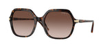 W65613 - Dark Havana / Gradient Brown