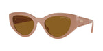 312183 - Full Beige / Dark Brown Polarized