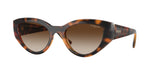 W65613 - Dark Havana / Gradient Brown