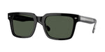 W44/9A - Black / Dark Green Polarized