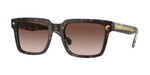 W65613 - Dark Havana / Gradient Brown