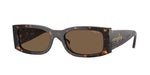 W65673 - Dark Havana / Dark Brown