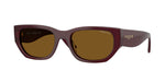328483 - Full Bordeaux / Dark Brown Polarized