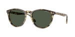 31869A - Yellow Havana / Dark Green Polar