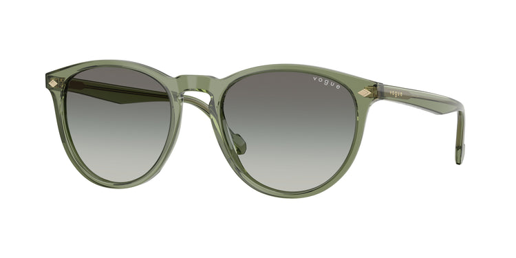 318711 - Transparent Green / Gradient Grey