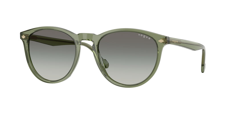 318711 - Transparent Green / Gradient Grey