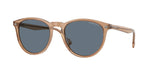 31894Y - Transparent Brown / Blue Polar