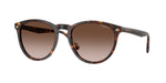 W65613 - Dark Havana / Gradient Brown
