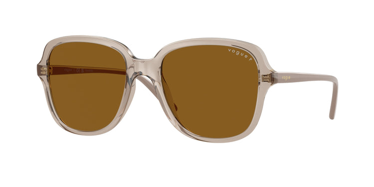 299083 - Transparent Caramel / Dark Brown Polarized