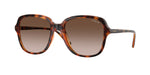 W65613 - Dark Havana / Gradient Dark Brown