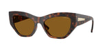 271883 - Total Dark Havana / Dark Brown Polar
