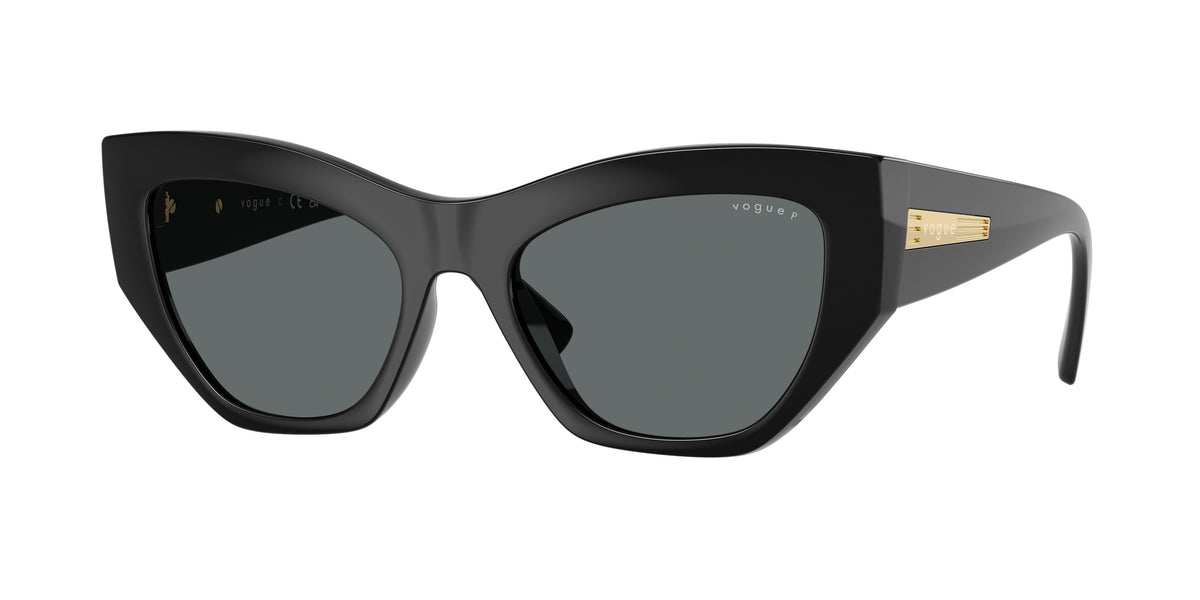 W44/81 - Black / Dark Grey Polarized