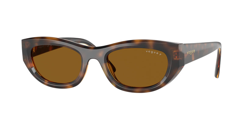 271883 - Total Dark Havana / Dark Brown Polarized