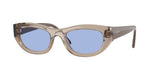318172 - Transparent Light Brown / Blue