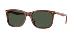 32029A - Transparent Brown / Dark Green Polar