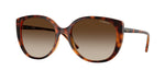 W65613 - Dark Havana / Gradient Brown