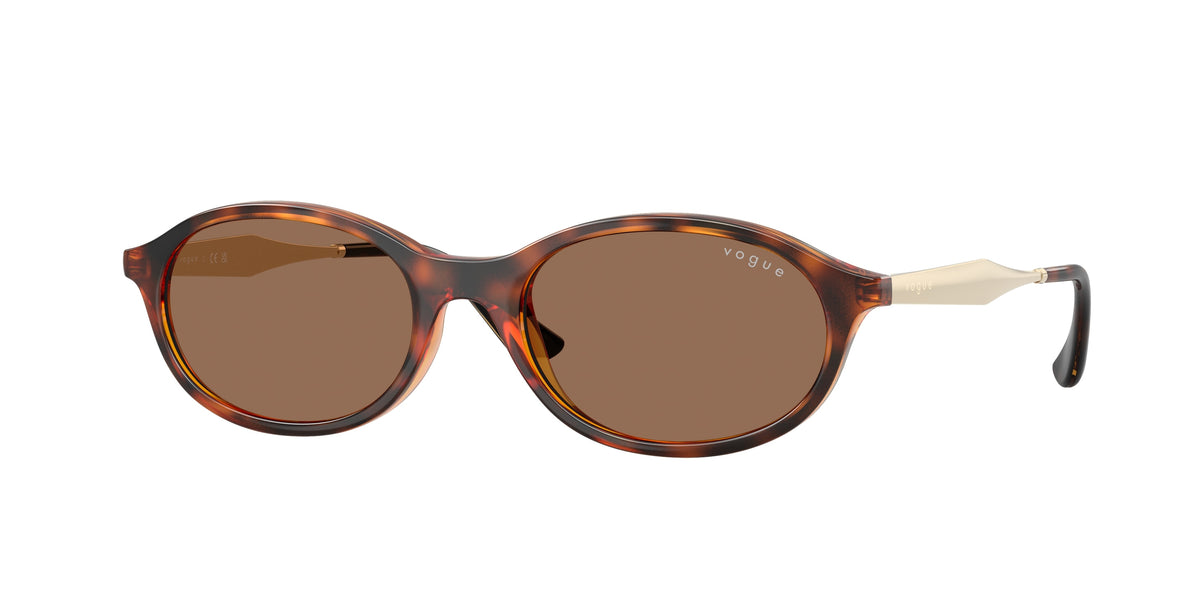 W65673 - Dark Havana / Dark Brown