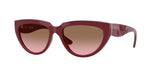 304814 - Full Bordeaux / Pink Gradient Brown