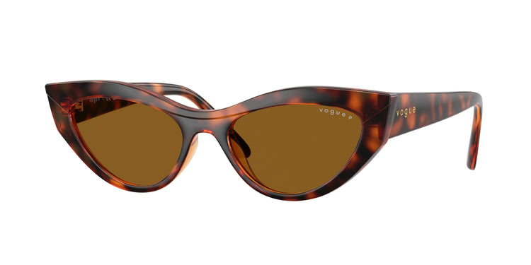 W65683 - Dark Havana / Dark Brown Polarized