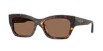 W65673 - Dark Havana / Dark Brown