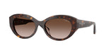 W65613 - Dark Havana / Gradient Brown